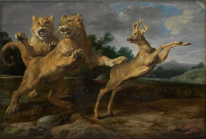 Two young lions chasing a roe, detail