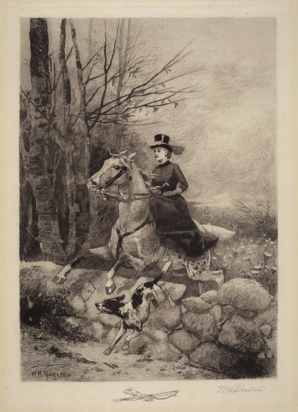 After the Hounds, by William Henry Shelton, ink, 1886