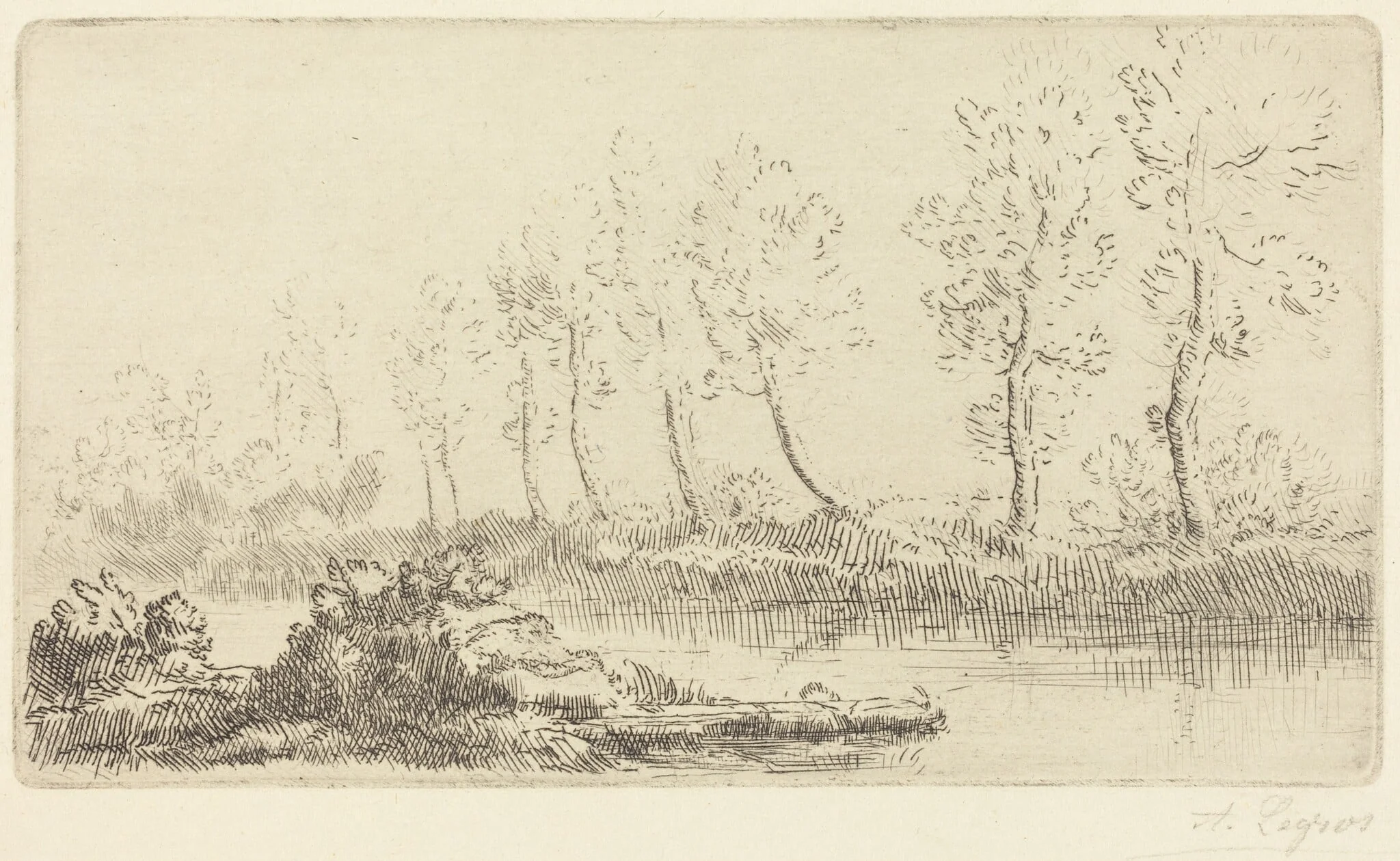 Banks of the Adour (Bord de l'Adour), detail