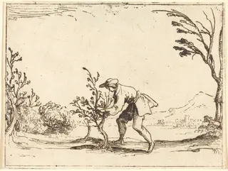 Man Cutting a Balm-Tree, by Jacques Callot, ink, 1628