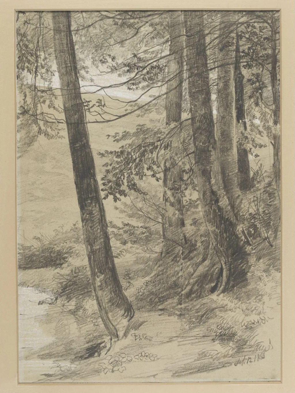 Study of tree stems at King George's Hill, Abinger, by Richard Redgrave, 1850
