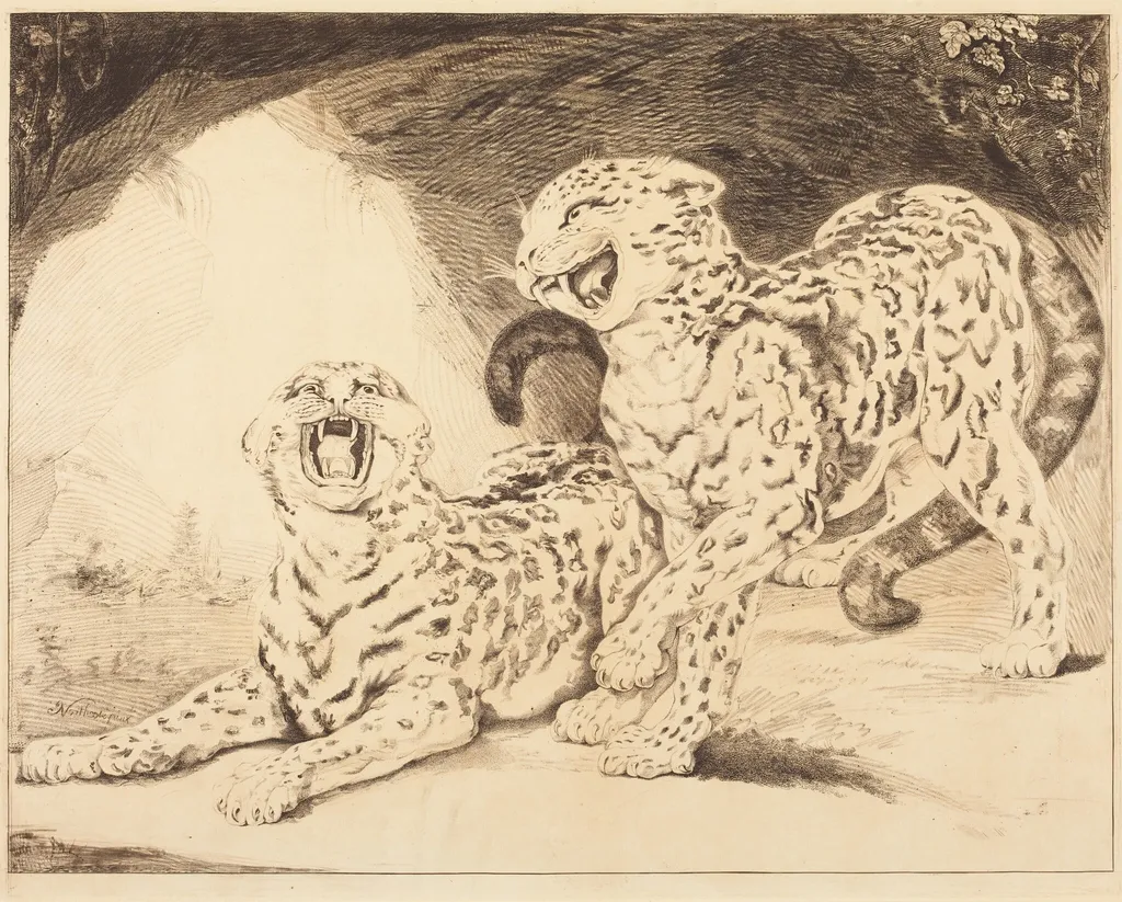 Leopards, by Samuel William Reynolds I, ink, 1798