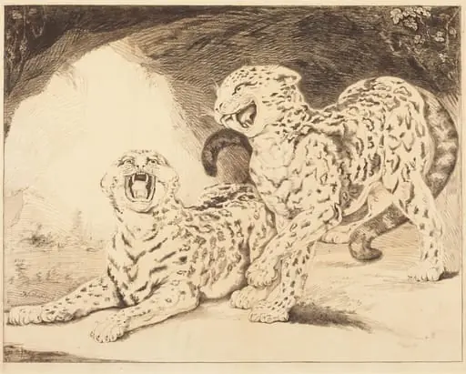 Leopards, by Samuel William Reynolds I, ink, 1798