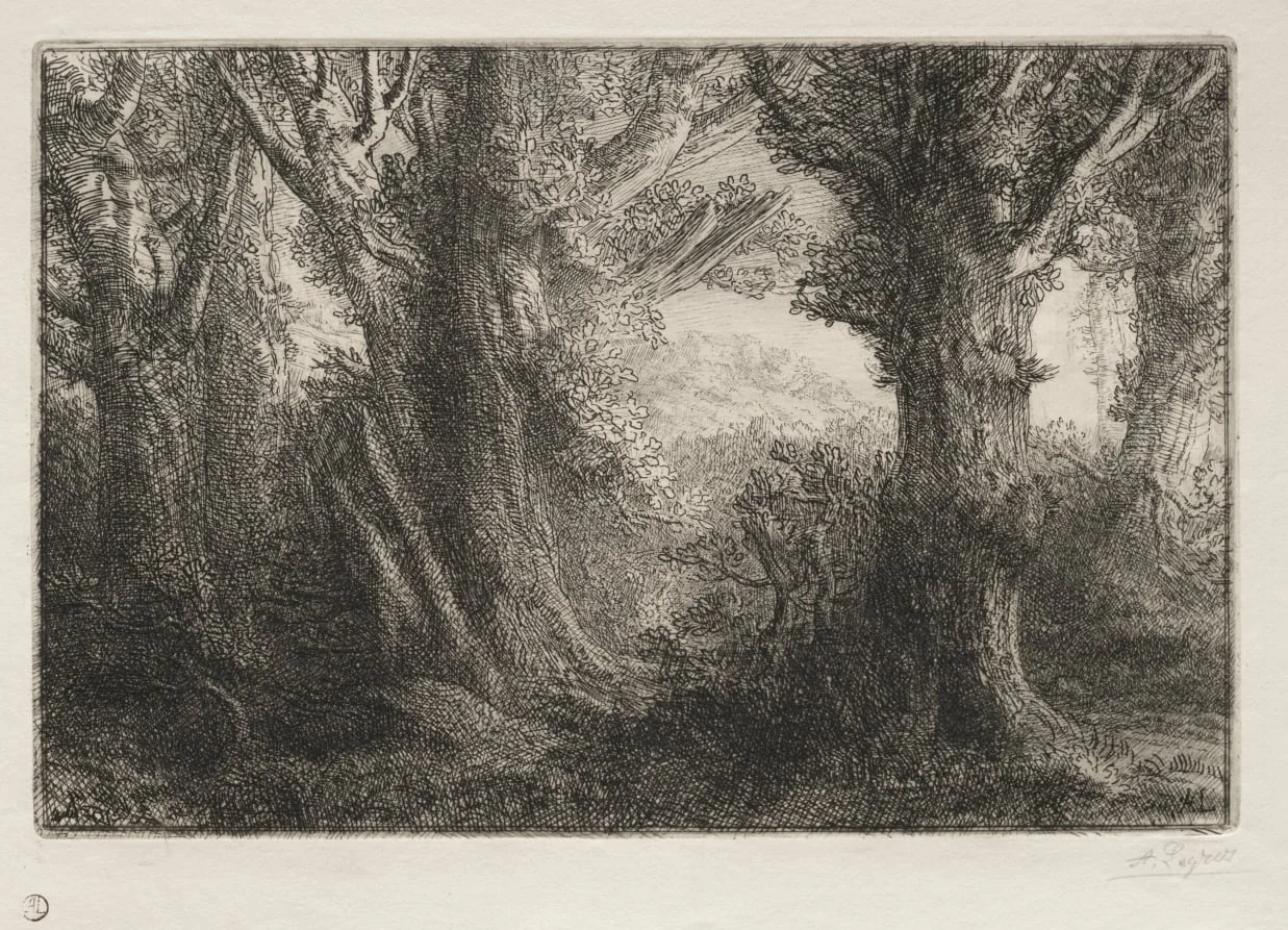 In the Forest at Conteville, detail