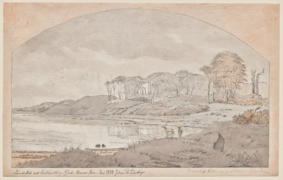 Asnæs Skov, Bay at Kalundborg Fjord, detail