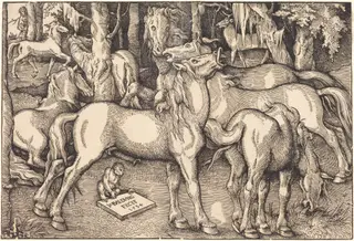 Group of Seven Horses, by Hans Baldung Grien, ink, 1534