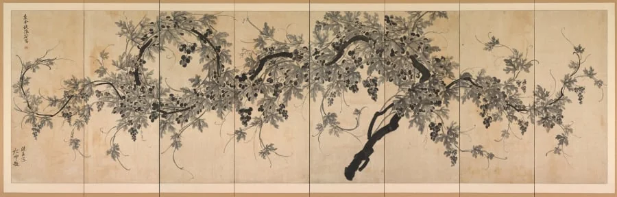 Grapevine, detail