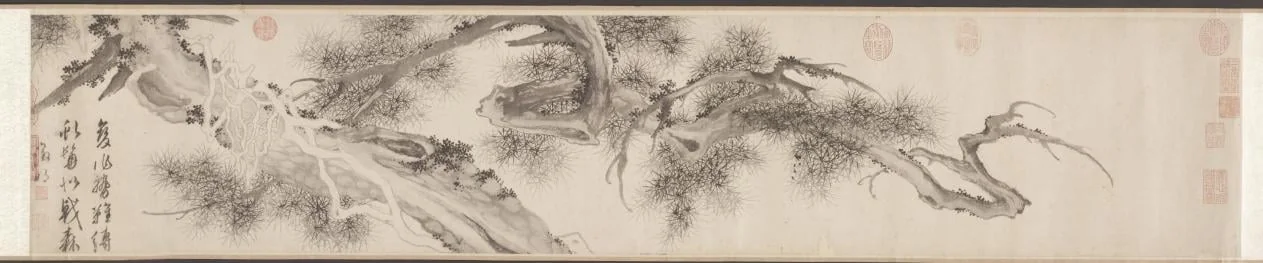 Old Pine Tree, detail