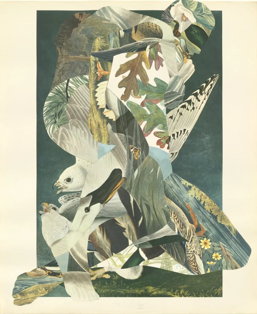 Untitled, detail