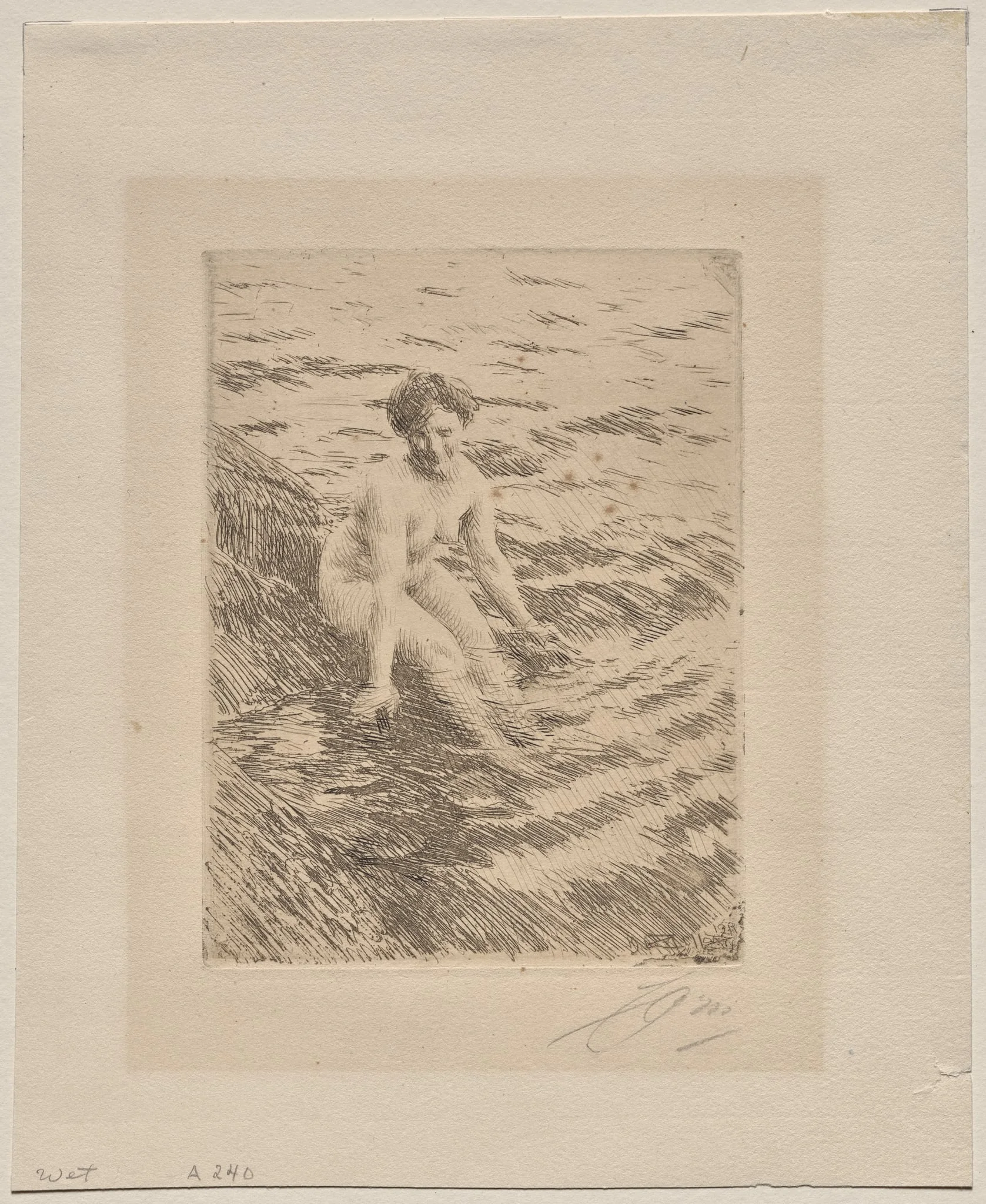 Wet, detail