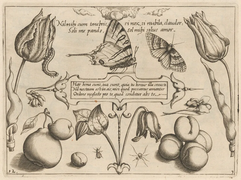 Archetypa studiaque patris Georgii Hoefnagelii [Part 3, Plate 12], by Jacob Hoefnagel, ink, 1592