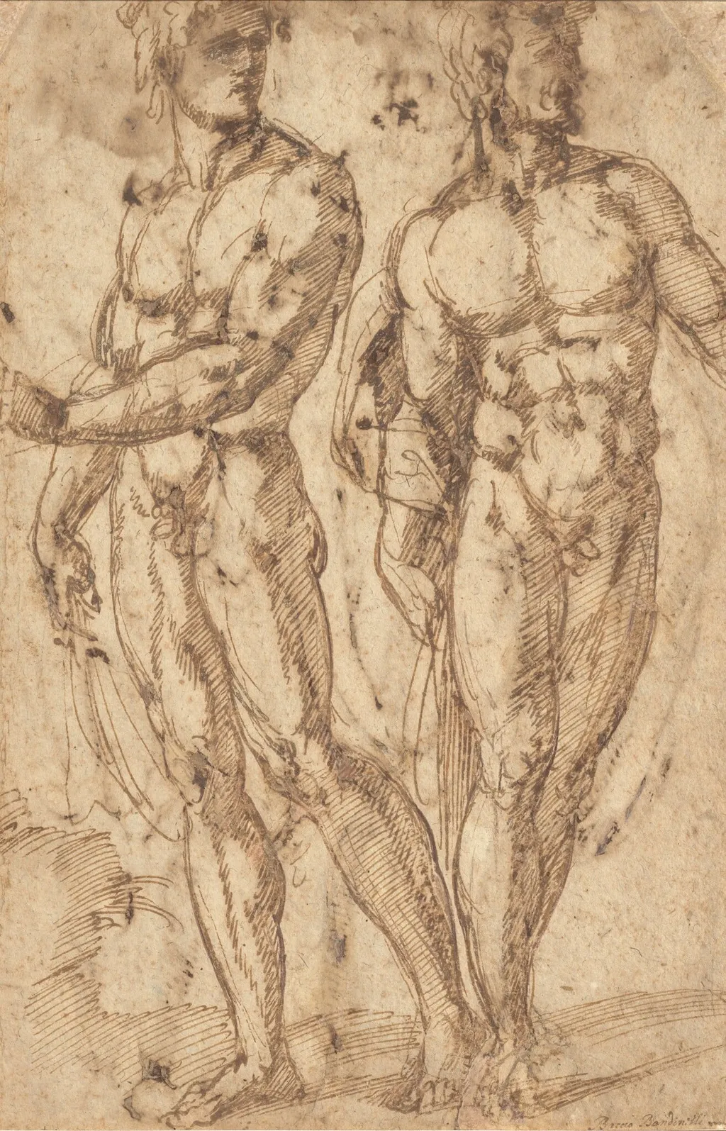 Two Male Nudes, by Baccio Bandinelli, ink, 1520