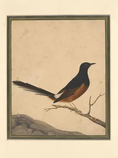 A bird on a branch, by Bahadur Lal II