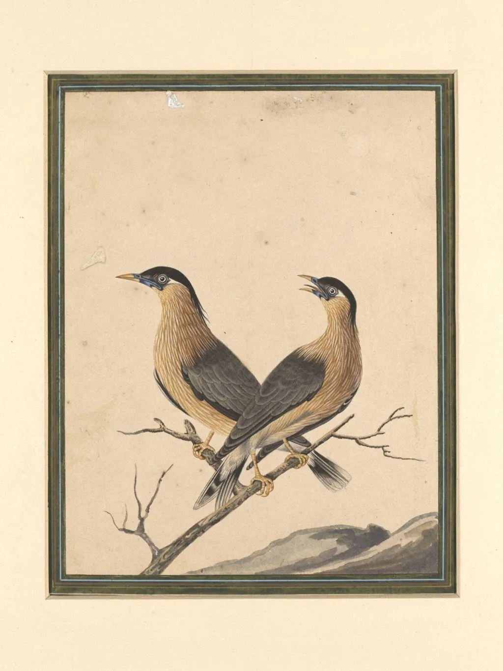 Two birds on a branch, by Bahadur Lal II, paint, 1880