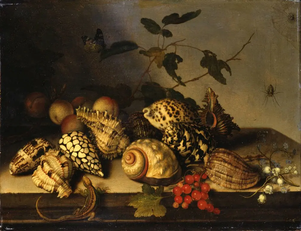 Fruit and Shells, by Balthasar van der Ast