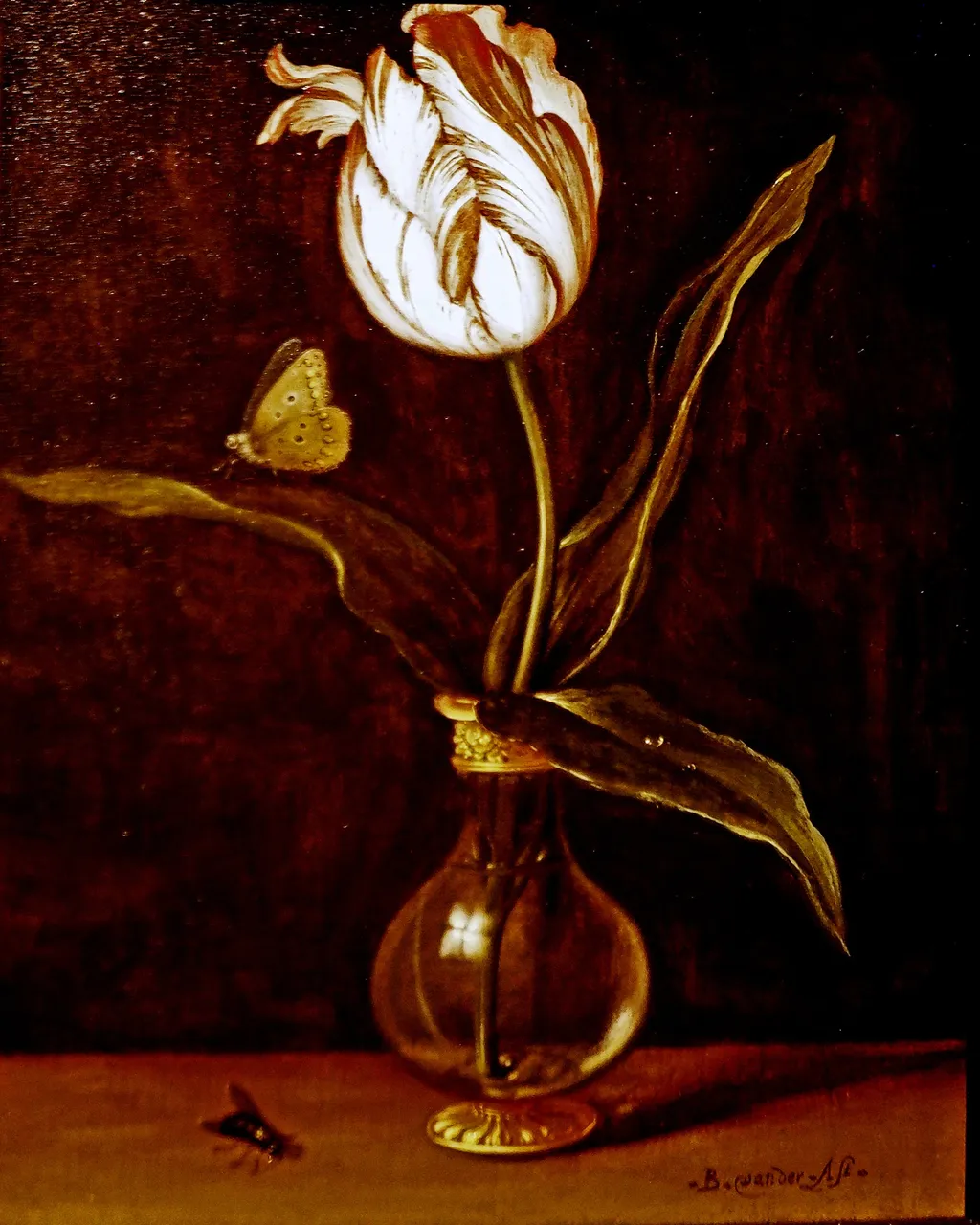 Vase with a single tulip, by Balthasar van der Ast, oil, 1625