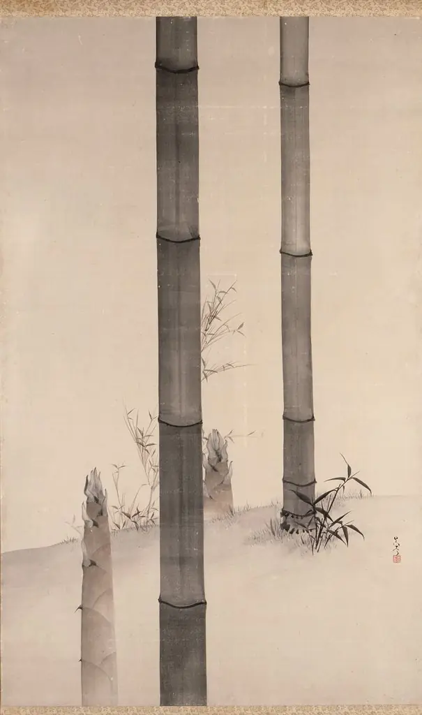 Bamboo