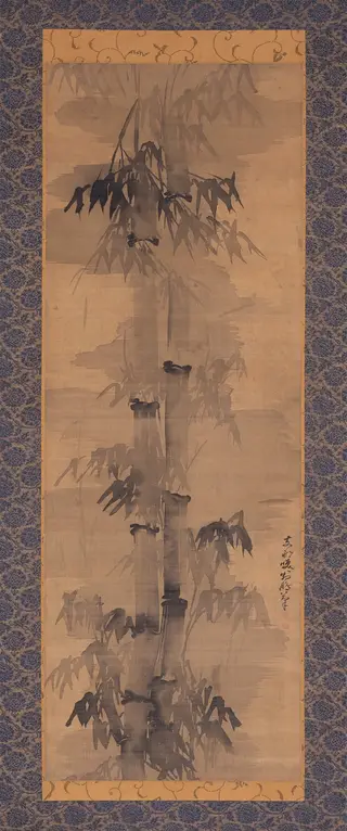 Bamboo