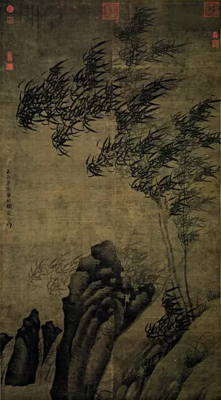 Bamboo and Rock