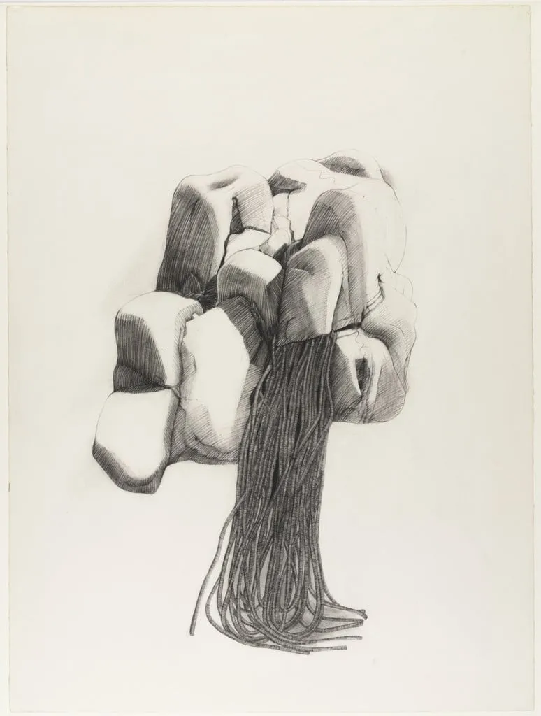 Untitled, by Barbara Chase-Riboud, charcoal, 1971
