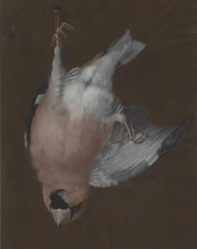 A Rose-Breasted Finch Hanging from a Nail, by Barbara Dietzsch