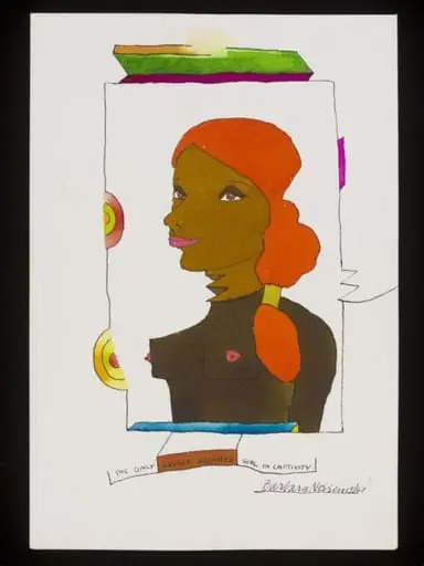 The Only Square Breasted Girl in Captivity, by Barbara Nessim