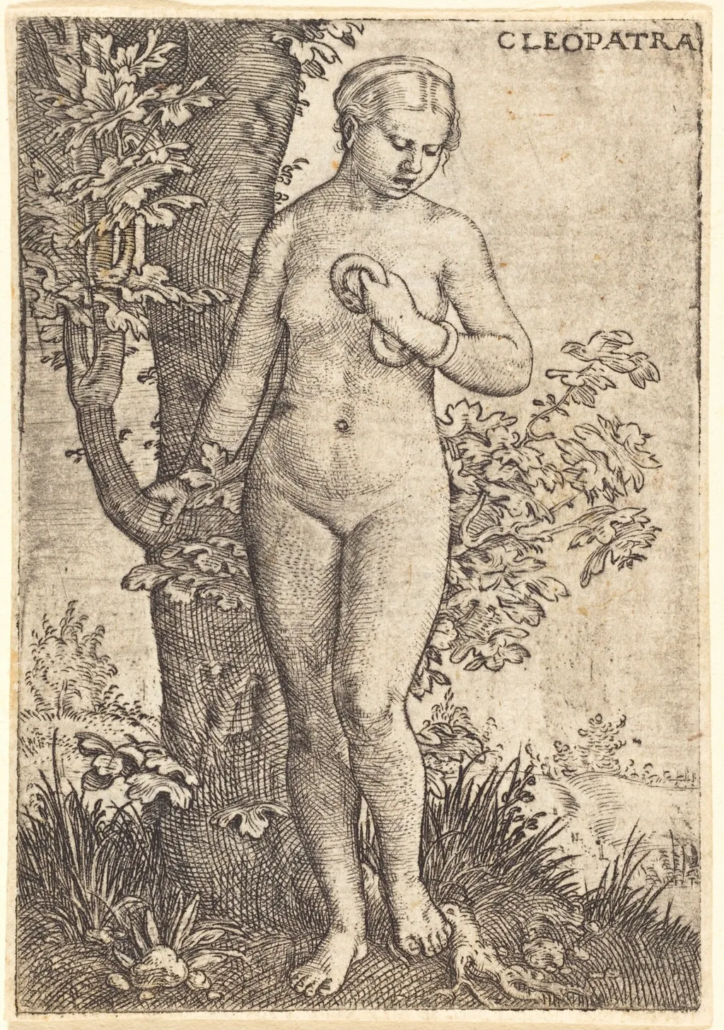 Cleopatra, by Barthel Beham, ink, 1524