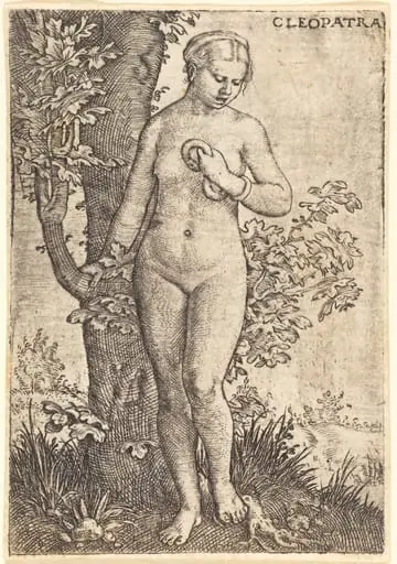 Cleopatra, by Barthel Beham