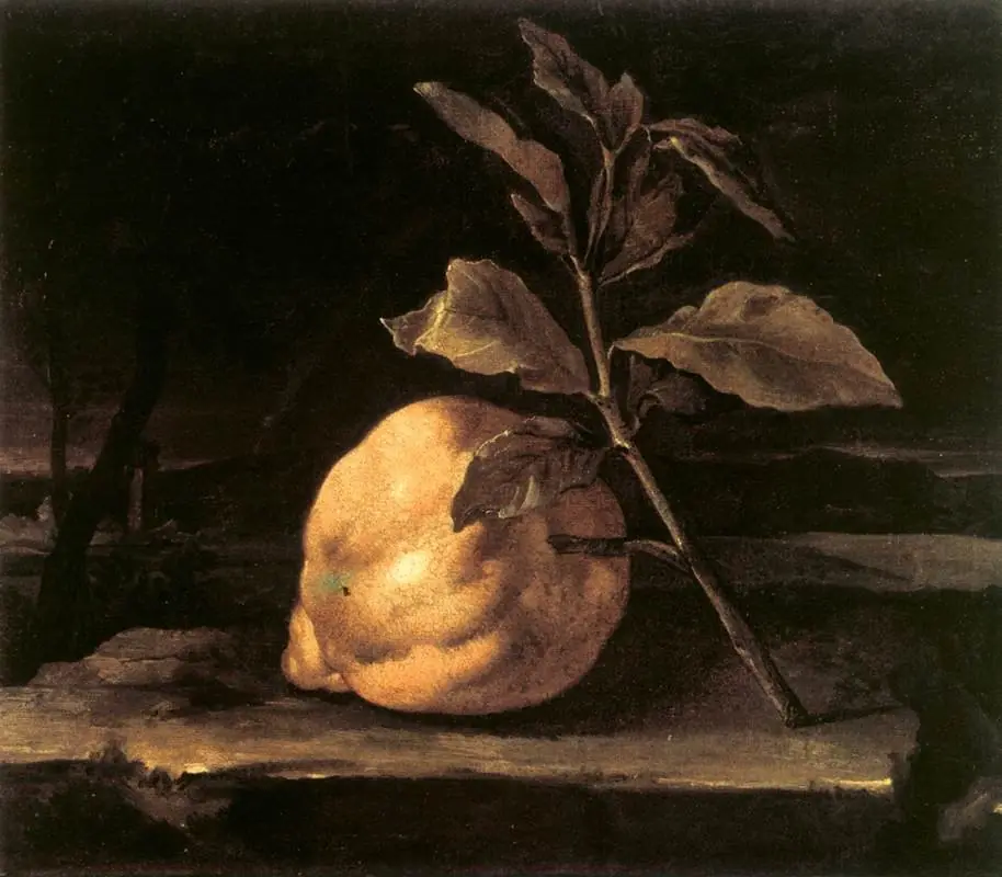 Large Citron in a Landscape, by Bartolomeo Bimbi