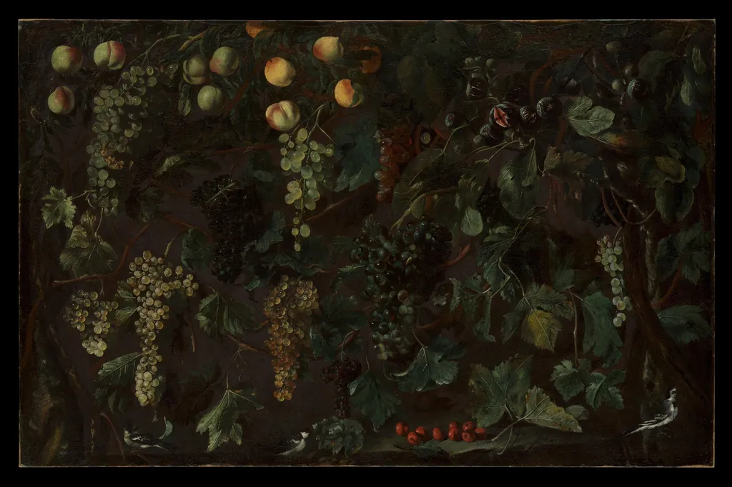 Grape Vines and Fruit, with Three Wagtails, by Bartolomeo Cavarozzi, oil, 1616