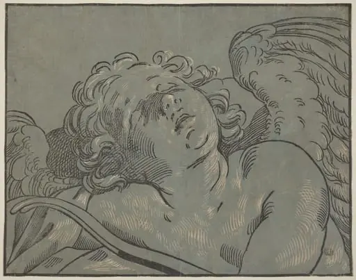 Cupid Asleep
