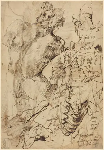 Studies of a Sculpture of a Male Nude, Vertebrae, and Gesturing Figures, by Bartolomeo Passarotti