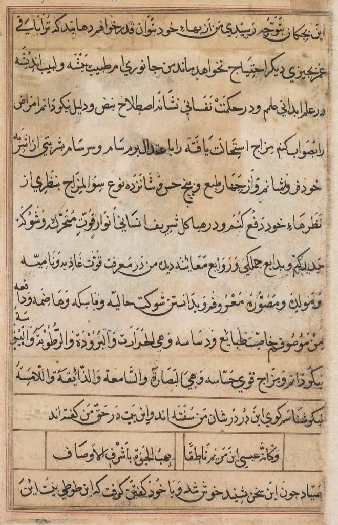 Page from Tales of a Parrot (Tuti-nama): text page, by Basawan