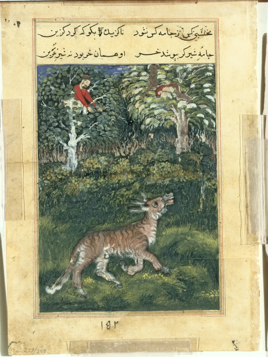 The donkey, in a tiger’s skin, reveals his identity by braying aloud, from a Tuti-nama (Tales of a Parrot): Thirty-first Night, by Basawan, unspecified, 1560