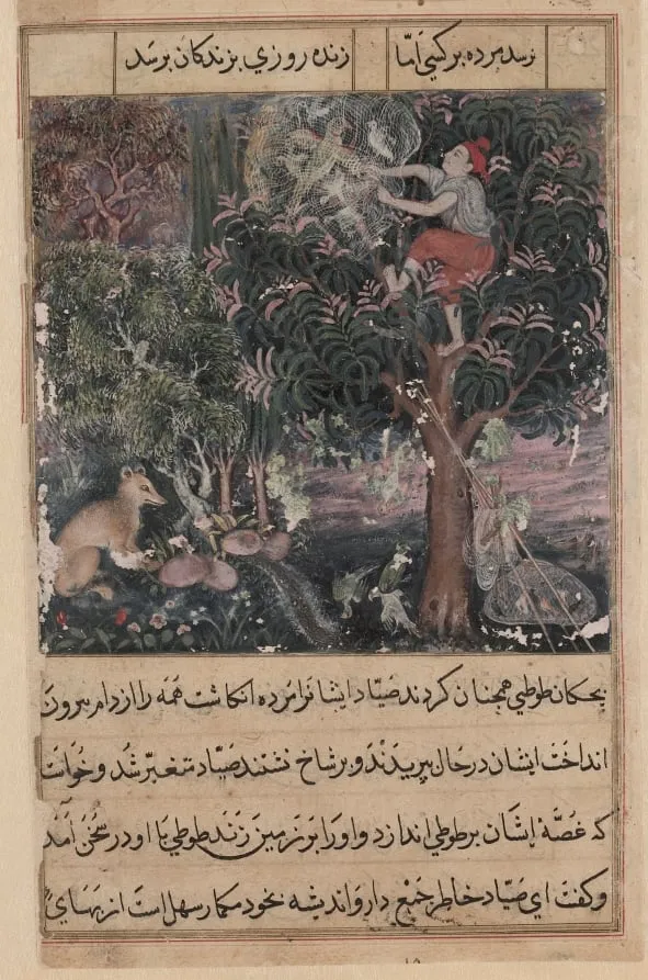The hunter throws away the baby parrots, who pretend to be dead, and captures the mother, from a Tuti-nama (Tales of a Parrot): Fifth Night, by Basawan, unspecified, 1560
