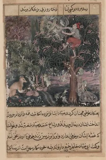 The hunter throws away the baby parrots, who pretend to be dead, and captures the mother, from a Tuti-nama (Tales of a Parrot): Fifth Night, by Basawan