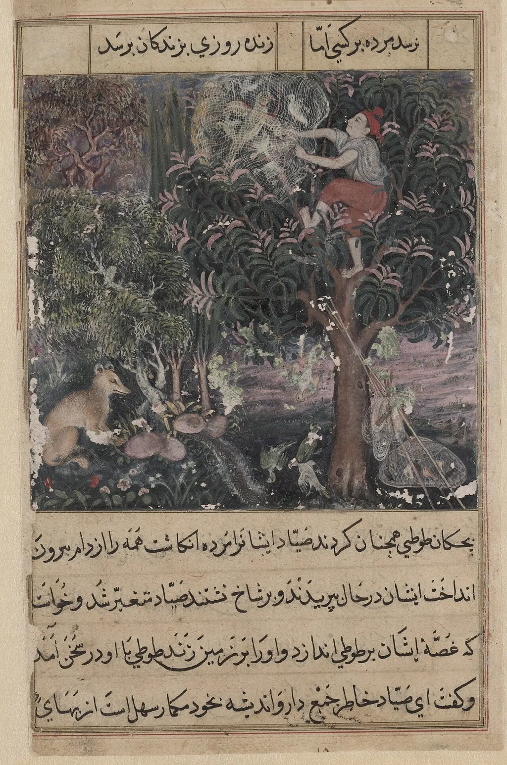 The hunter throws away the baby parrots, who pretend to be dead, and captures the mother, from a Tuti-nama (Tales of a Parrot): Fifth Night, by Basawan, unspecified, 1560