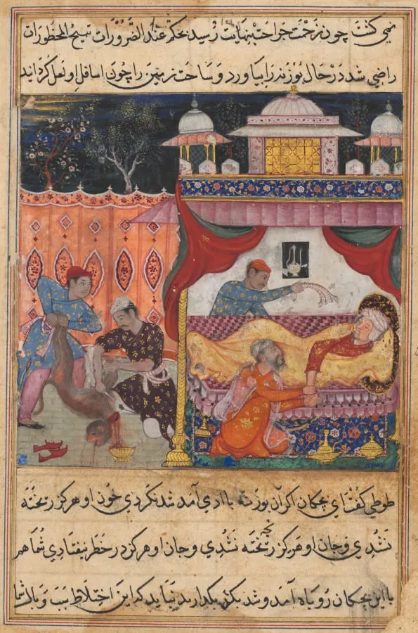 The monkey slain, his blood to be used as medicine for the ailing prince he has bitten, from a Tuti-nama (Tales of a Parrot): Fifth Night, by Basawan, unspecified, 1560