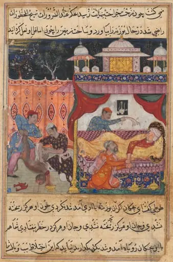 The monkey slain, his blood to be used as medicine for the ailing prince he has bitten, from a Tuti-nama (Tales of a Parrot): Fifth Night, by Basawan