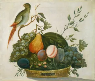 Basket of Fruit with Parrot, by A.M. Randall