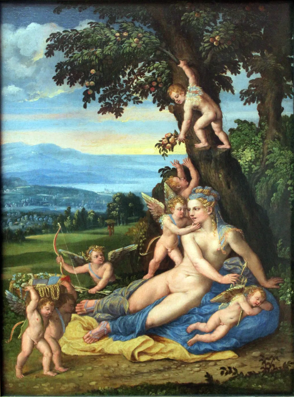 Venus und Amoretten, by Battista Dossi, paint, 1530