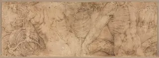 Torsos with Rib Cages
