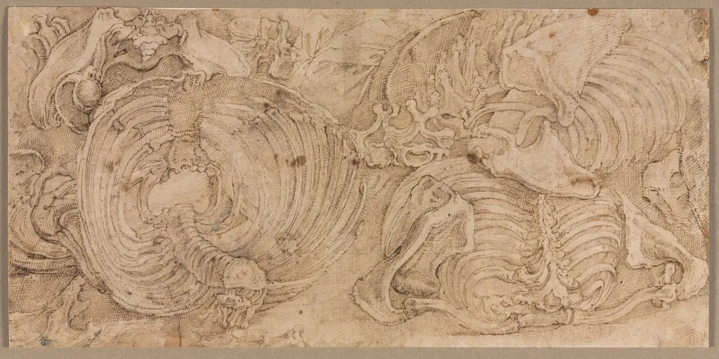 Rib Cages, by Battista Franco Veneziano, 1544