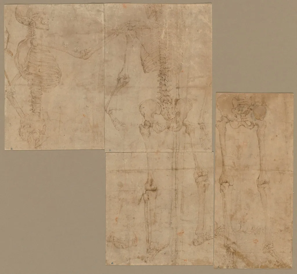 Skeleton, by Battista Franco Veneziano, 1544