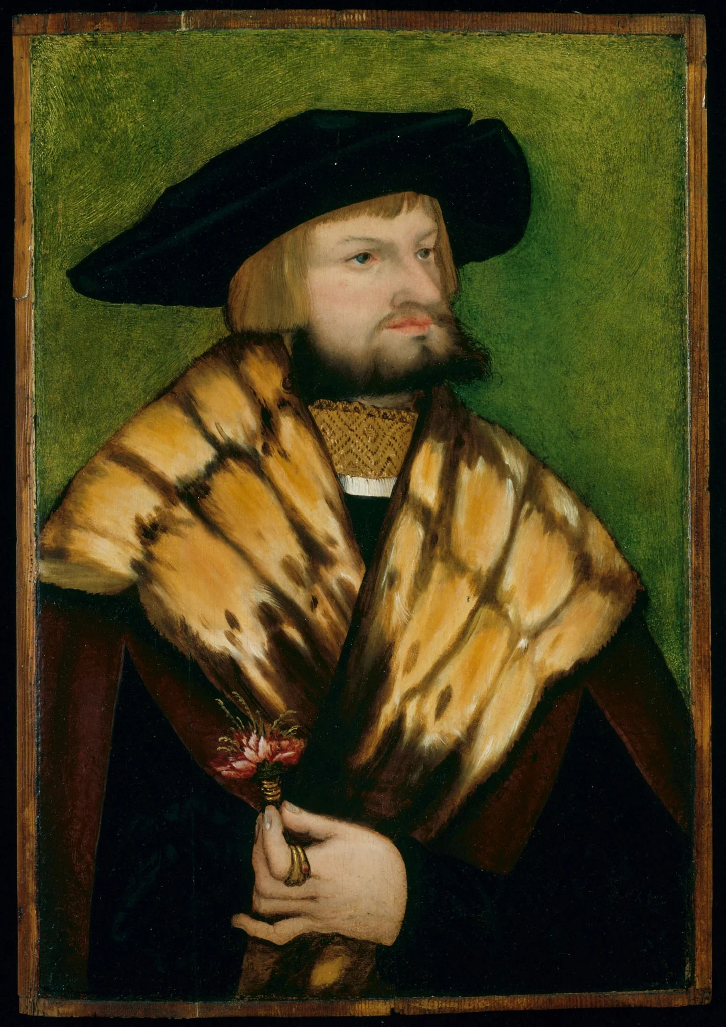 Portrait of Leonhard Fuchs, detail