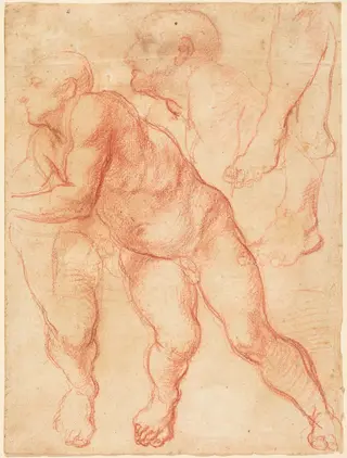 Studies of a Male Nude, by Giovanni Battista Naldini, chalk, 1550