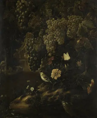Grapes, Flowers and Animals, by Isac Vromans, unspecified, 1692