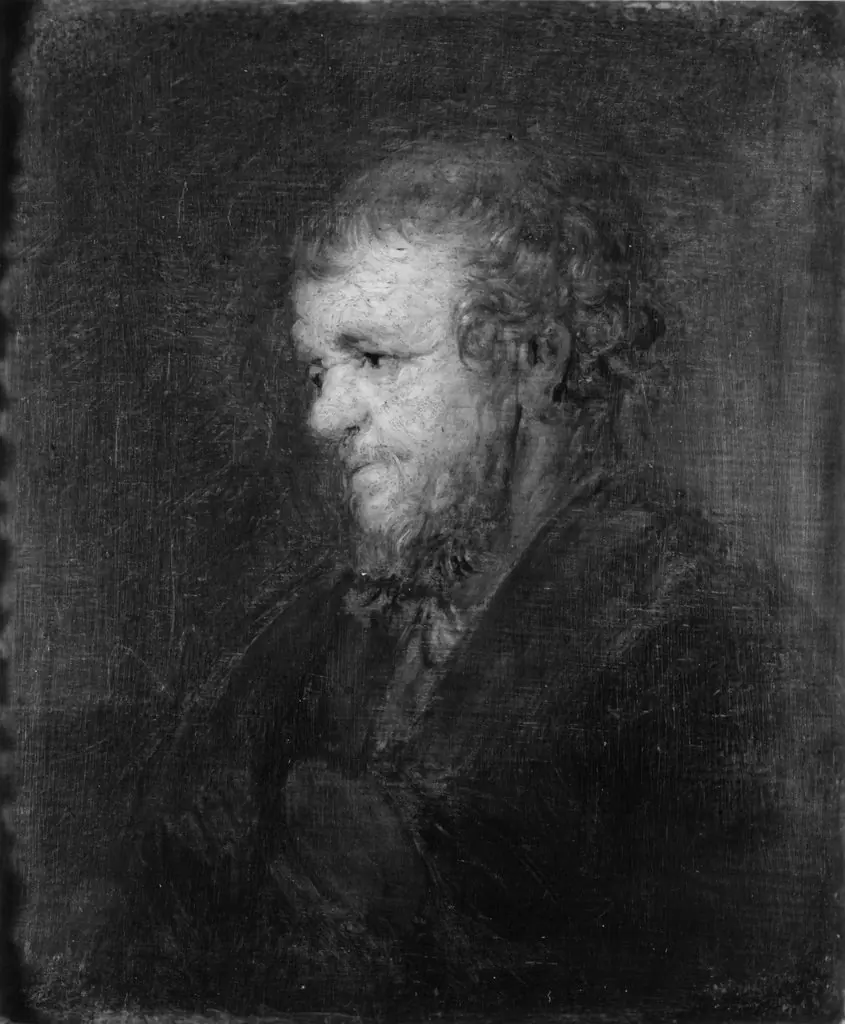 Head of an Old Man, by Rembrandt, oil, 1630