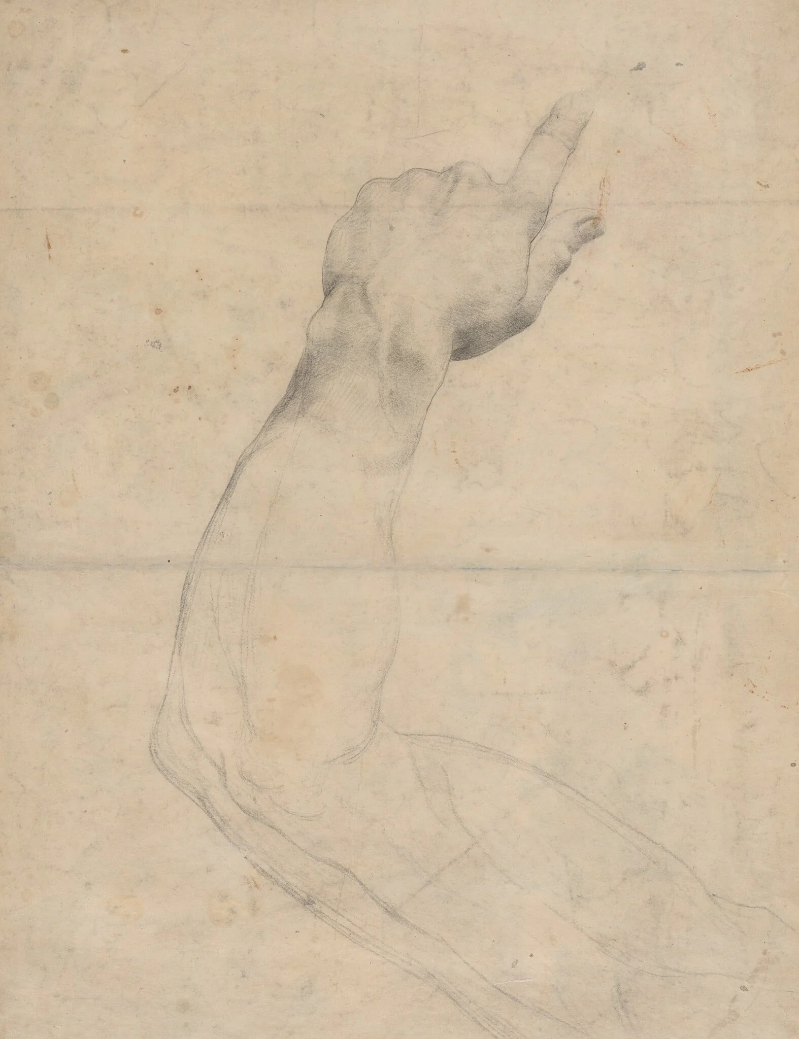 Study of an Arm [verso], detail