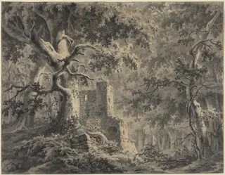 Ruins by a Woodland Stream, by Paulus van Liender, ink, 1764